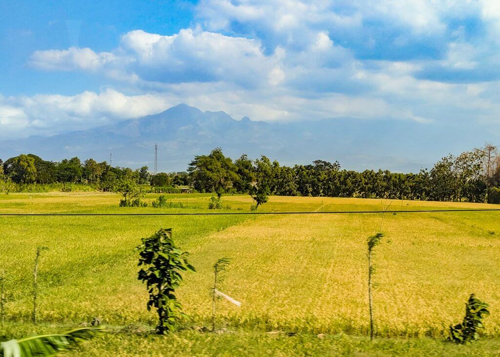 views from the Yogyakarta-Malang train