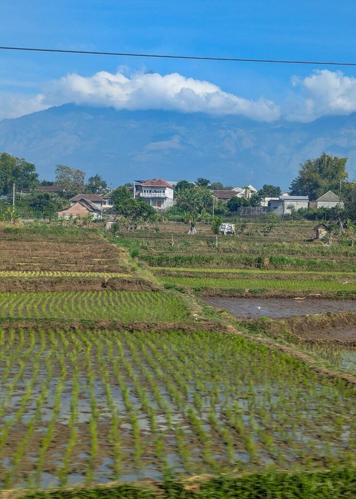 views on the Malang-Banyuwangi train